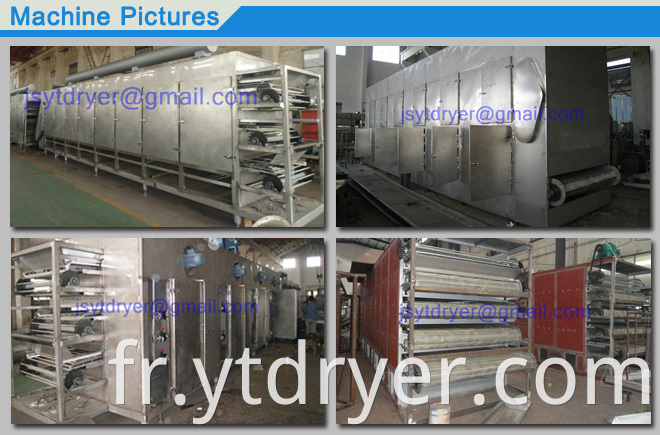 Multilayer Penetrating Belt Dryer